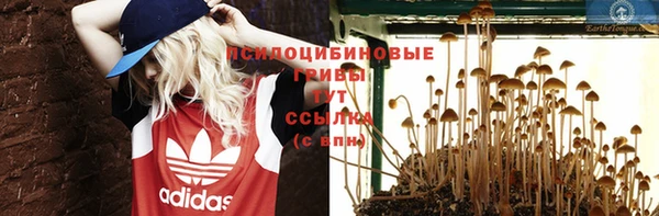 прущая мука Михайлов
