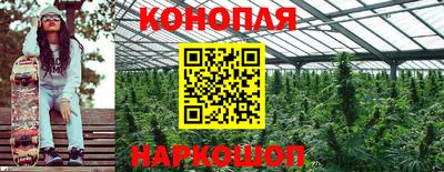 Альфа ПВП Апшеронск