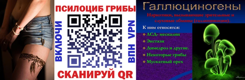 кракен ONION Чита Псилоцибиновые грибы Cubensis