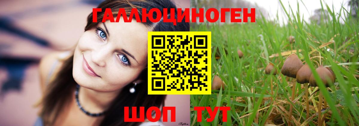 Псилоцибиновые грибы мухоморы  Вход с VPN  где купить наркоту  Чита  Псилоцибиновые грибы прущие грибы 