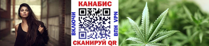 Марихуана OG Kush Чита